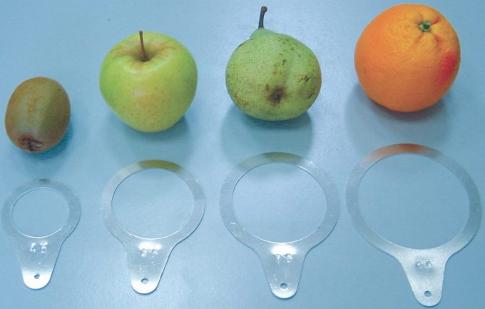 Šablóny na meranie veľkosti ovocia